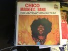 CHICO MAGNETIC BAND