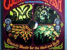 COUNTRY JOE & FISH ELECTRIC MUSIC ULTRA-RARE ORIG '67 VANGUARD MONO LP N/MINT