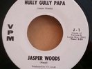Jasper Woods VPM 1009 HULLY GULLY PAPA/I'M COMING HOME 45 SHIPS FREE/MAKE OFFER
