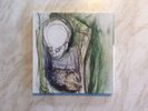 DINOSAUR JR - Visitors RARE USA RSD 2014 5x7’ BOX SET. Nirvana