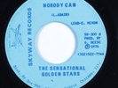 Soul Gospel 45 SENSATIONAL GOLDEN STARS Nobody Can SKYWAY HEAR