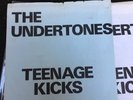 UNDERTONES - TEENAGE KICKS - ORIGINAL HYPER RARE BLUE SLEEVE  - GOOD VIBRATIONS