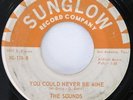 SOUNDS Little Joe / You Could Never Be Mine Sunglow Texas Soul 45 HEAR