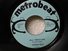 Jokers Wild 45 All I See Is You Rare 1967 MN Garage Psych Metrobeat NM Orig