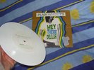 Plain White T's - Hey there Delilah - RARE Original White 7