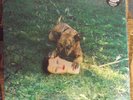 JOYCE MANOR Cody LP SEALED pop-punk color vinyl Epitaph w/download