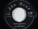 Soul Bro's/Wailers 