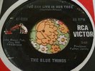 Kansas Garage Fuzz Psych 45 Blue Things You Can live in Our Tree HEAR