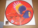 DAVID BOWIE THE MAN WHO SOLD THE WORLD LP NEW RSD PICTURE DISC VINYL RECORD