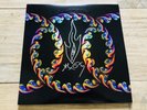 Tool - Lateralus Vinyl 2LP Double Picture Disk (Signed Autographed by Alex Grey)