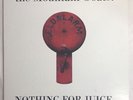 The Mountain Goats ‘Nothing For Juice’ 12