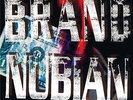 Brand Nubian - 'In God We Trust' (Vinyl LP Record [2LP])