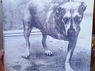 ALICE IN CHAINS LP 1995 Columbia VG + GRUNGE