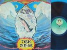 Steve Hillage UK LP Fish rising EX ’75 Virgin V2031 Gong Khan Prog Rock Psyche