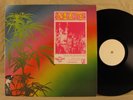 MC5 Sonic Sounds LIVE DETROIT 1969 Italy TMOQ TAKRL Lust Lawnmower Looking Jams