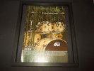DW Eco X project drum kit-2009 original advert framed
