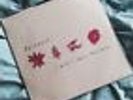 Basement I Wish I Could Stay Here Release Show Cover Hand Printed Vinyl Rare 12”