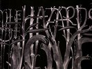 Decemberists - Hazards Of Love 2x LP Vinyl GTF NEW