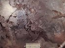 COCTEAU TWINS Head Over Heels LP Vinyl NEW