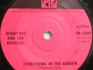 Bobby Rio and The Revelles-Everything in the garden 7