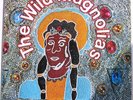 THE WILD MAGNOLIAS w/ The New Orleans Project  / THE WILD MAGNOLIAS [POLYDOR] LP
