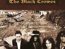 BLACK CROWES Southern Harmony & Musical Companion 2LP Vinyl NEW 33RPM