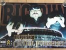 BIG PUN PUNISHER CAPITAL PUNISHMENT VERY RARE ORIGINAL CD / LP COVER ART POSTER