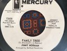 Jimmy Norman Family Tree Mercury  w/d Northern Soul RnB