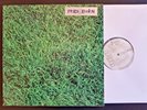 LIVING MUSIC - TO ALLEN GINSBERG LP - 1973 RCA PROMO 1st press ITALIAN FOLK PROG