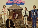 The Flying Burrito Bros -The Gilded Palace Of Sin [LP] 180 Gram Audiophile Vinyl