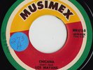 LOS MAYANS Chicana LATIN SOUL FUNK FUZZ 45 *hear*