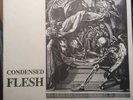 Void Condensed Flesh 7” Rare Blue Vinyl Punk Hardcore Discord Dc Minor Threat