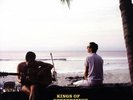 KINGS OF CONVENIENCE DECLARATION OF DEPENDENCE VINILE LP NUOVO E SIGILLATO