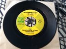 (3) Texas Garage 45 13th FLOOR ELEVATORS- COUNT DOWN 5- INTERNS