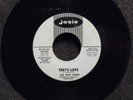 northern soul THE TRUE TONES He's Got the Nerve  JOSIE 950 DJ M- Listen