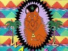 Wavves - King Of The Beach Vinyl LP Fat Possum NEW