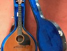 joe foley mandola