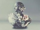 Alina / Galimatias Baraz - Urban Flora (Vinyl Used Like New)
