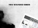 TWO WOUNDED BIRDS LP Two Wounded Birds 180 Gram Heavyweight Vinyl +PROMO Sheet