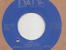NORTHERN SOUL / FUNK -- ARNOLD ALBURY & CASUALS   -- FEEL IT