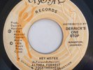 ALTHEA FORREST - HEY MISTER - CRYSTAL ( FUNKY DISCO REGGAE 7 )