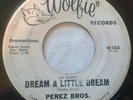 RARE ( R&B CHICANO SOUL DOO WOP 45 ) 1963 - THE PEREZ BROS. - VG