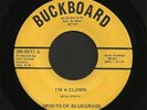 New Mexico Bluegrass 45   Spirits Of Bluegrass   Buckboard   Listen