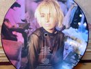 TRANSVISION VAMP – Velveteen - Strictly Ld Ed Vinyl Picture Disc LP FREE UK P/P