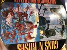 Guns N Roses Appetite For Distraction Picture Disc VINYL RECORDS