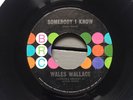 Wales Wallace - Somebody I Know - BRC M- northern soul r&b