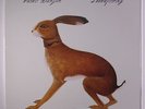 VASHTI BUNYAN: Lookaftering LP Sealed (gatefold cover) Rock & Pop