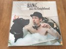 DIVINE COMEDY Bang Goes The Knighthood 12