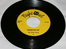 VERY RARE WISC. GARAGE ROCK / THE CHAIN GANG / 