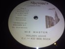 MIX MASTER/SQUIVATCH-GOLDEN VOICE-MAGNUM-SHEVONE'S RECORDS-12